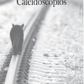 caleidoscopios-reyes-noguerol-libros-prohibidos