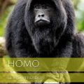 Crítica de Homo: el río perdido. Libros Prohibidos