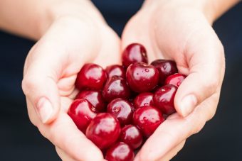 El tiempo de las cerezas. Libros Prohibidos